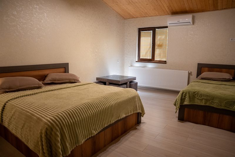 The twin room